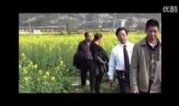 园丁爆料最新视频,园艺界的秘密与惊喜